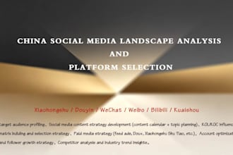 provide china social media marketing strategy