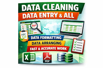 fast data entry, excel data cleaning and formatting