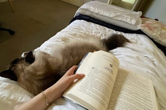 beta read your manuscript