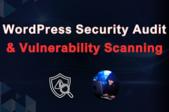 do professional wordpress security audits