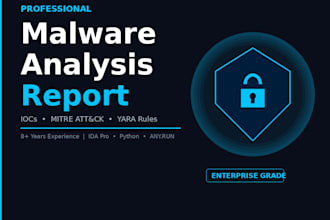 perform malware analysis and deliver a threat report