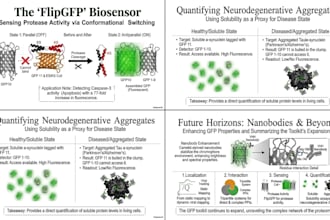 design professional biology and medical powerpoint presentations