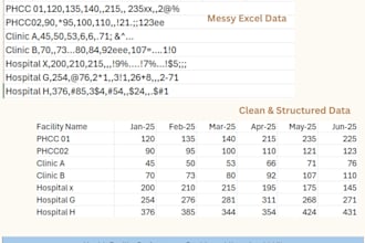 clean, organize, and fix messy excel data and dashboards