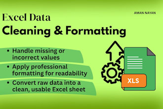 excel data cleaning and formatting