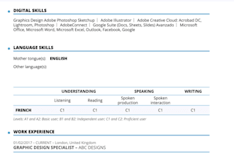create professional europass CV, ats and cover letters and motivational letters
