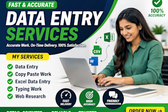 do fast and accurate data entry and excel work