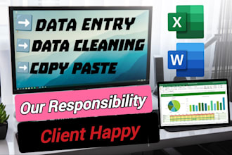 data entry, data cleaning, excel data entry, copy paste