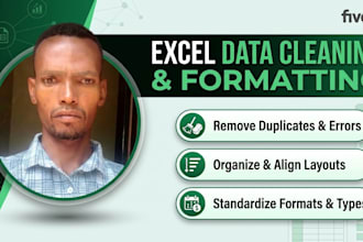do excel data cleaning and formatting
