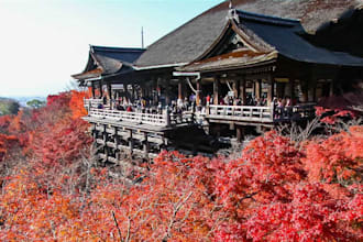 plan your japan travel itinerary as a local expert