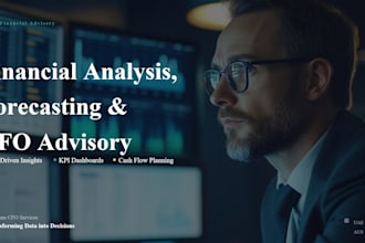 financial analysis, forecasting, cash flow planning and cfo advisory