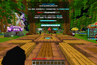 develop a minecraft server for you