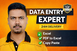 do fast and accurate data entry, excel data entry, copy paste, pdf to exc