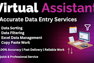 do accurate data entry, management, sorting and filtering in excel