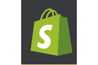 professional shopify store for you