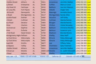 do fast and accurate data entry in excel