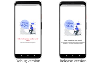 flutter bug fix and app issue resolution
