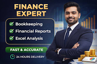 do basic financial analysis and data entry in excel