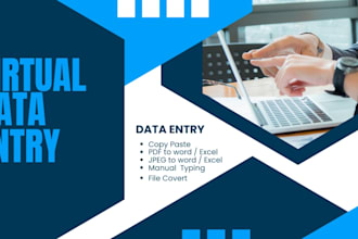 do data entry and copy paste