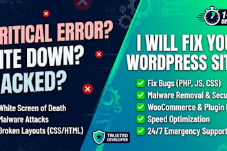 fix wordpress issues, elementor, wordpress critical errors, and bugs in 24 hours