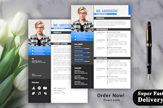 do professional resume, CV and cover letter design