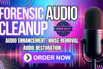 audio video forensic editing background removal forensic audio setup, repair