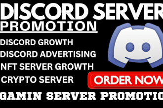 discord promotion, fivem, discord advertising, minceraft server promotion grow