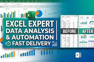 do professional microsoft excel work