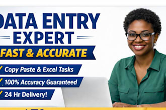 provide accurate data entry and spreadsheet management