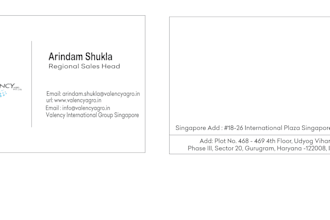 design professional vector graphics in coreldraw