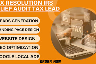 assist with irs audit help and back taxes resolution