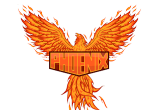 design high quality phoenix logo with unlimited revision