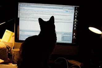 proofread up to 5000 words