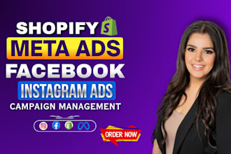 setup and manage meta ads, shopify dropshipping facebook, instagram ads campaign