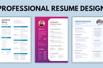 perform professional resume design and cv design