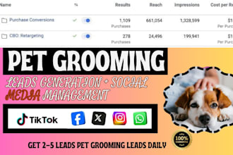 pet grooming leads pet care facebook ads veterinary clinic website design funnel