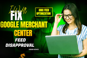 fix google merchant center feed and optimize SEO for product approval