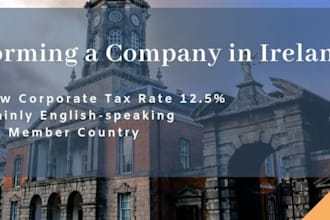 set up a company for you in ireland