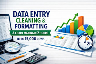 data entry cleaning formatting charts 15000 rows 2 hours