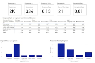 analyse your meta or google ads campaign and deliver a performance report