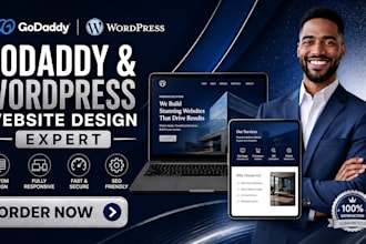 design, redesign, and optimize your godaddy website for SEO website design