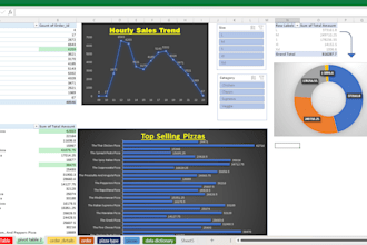 expert excel data cleaning and interactive dashboards
