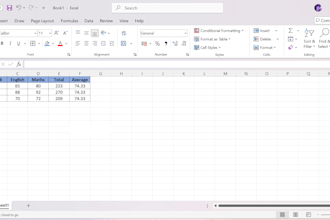 do professional data entry and excel data formatting