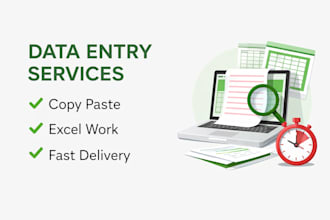 do fast and accurate data entry, copy paste, excel work