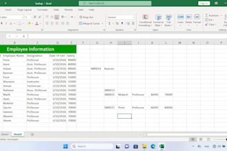 provide professional microsoft excel services in reasonable price