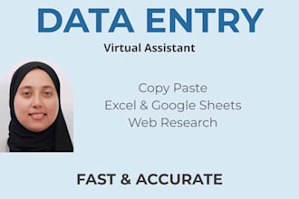 do accurate data entry, excel, copy paste and web research