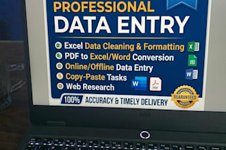 do professional data entry and excel data cleaning