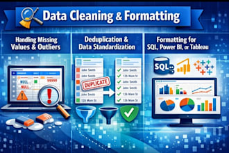 do professional excel data cleaning, formatting, and deduplication