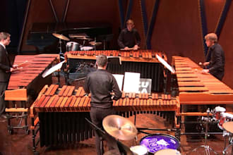 record marimba, timpani, vibraphone, and percussion for your music