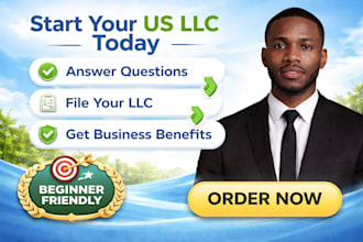 guide you step by step to start a US llc and online business