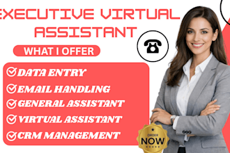 be your reliablle executive virtual assistant in spanish and english,data entry